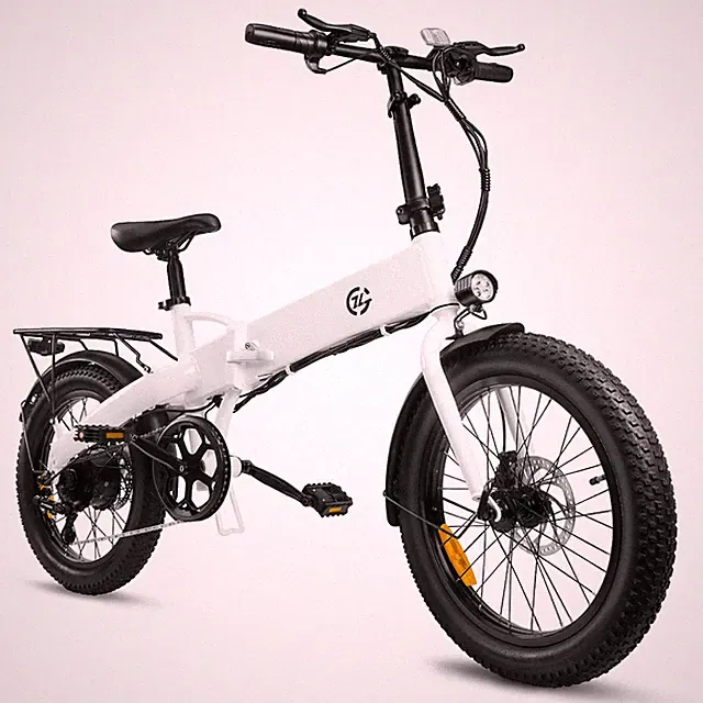20in Fat Tire 750W Motor 48V 10.4AH Foldable Electric Bike for Adult 24MPH Ebike