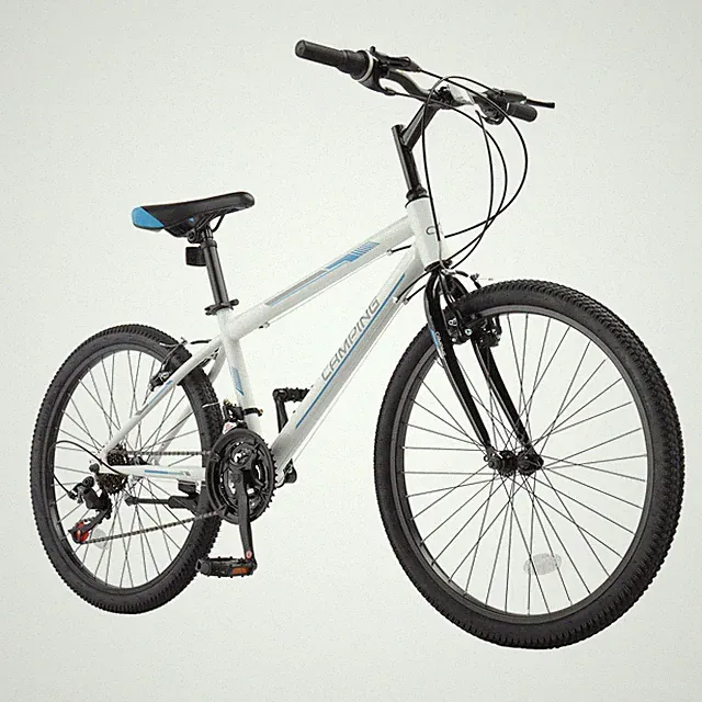 24 Inch 21 Speeds High-Carbon Steel Frame Easy to Assemble and Stylish Cool Look