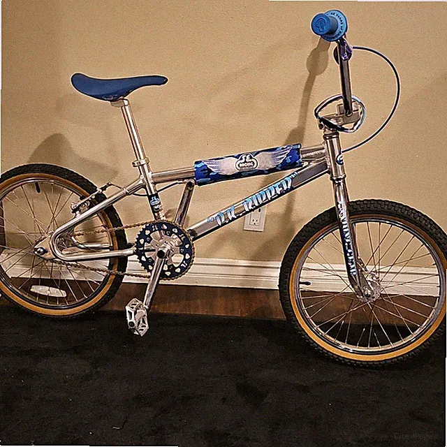 SE Racing PK Ripper Looptail BMX Bike-Polish SE Sold Out Sold Out Add to Wishlis